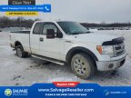 Thumbnail Photo 5 for New 2013 Ford F150