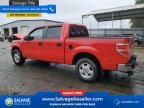 Thumbnail Photo 3 for New 2013 Ford F150