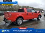 Thumbnail Photo 4 for New 2013 Ford F150