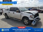 Thumbnail Photo 5 for New 2013 Ford F150