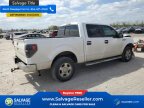 Thumbnail Photo 4 for New 2013 Ford F150