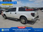 Thumbnail Photo 3 for New 2013 Ford F150