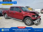 Thumbnail Photo 5 for New 2013 Ford F150