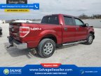 Thumbnail Photo 4 for New 2013 Ford F150