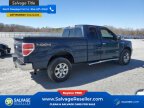 Thumbnail Photo 4 for New 2013 Ford F150