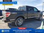 Thumbnail Photo 4 for New 2013 Ford F150