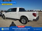 Thumbnail Photo 3 for New 2013 Ford F150