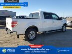Thumbnail Photo 4 for New 2013 Ford F150