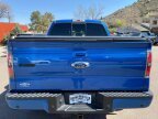 Thumbnail Photo 5 for 2013 Ford F150
