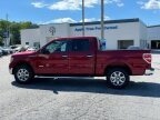 Thumbnail Photo 3 for 2013 Ford F150