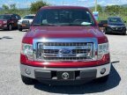 Thumbnail Photo 4 for 2013 Ford F150