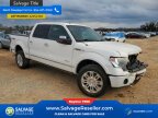 Thumbnail Photo 5 for New 2013 Ford F150