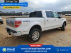 Thumbnail Photo 4 for New 2013 Ford F150