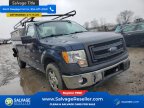 Thumbnail Photo 5 for New 2013 Ford F150