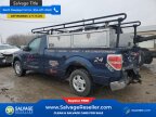 Thumbnail Photo 3 for New 2013 Ford F150