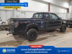 Thumbnail Photo 4 for New 2013 Ford F150