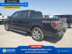 Thumbnail Photo 3 for New 2013 Ford F150