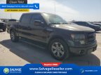 Thumbnail Photo 5 for New 2013 Ford F150
