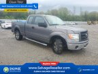 Thumbnail Photo 5 for New 2013 Ford F150