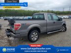 Thumbnail Photo 4 for New 2013 Ford F150