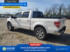 Thumbnail Photo 3 for New 2013 Ford F150