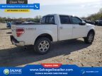 Thumbnail Photo 4 for New 2013 Ford F150