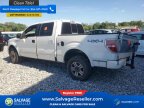 Thumbnail Photo 3 for New 2013 Ford F150