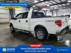 Thumbnail Photo 3 for New 2013 Ford F150