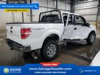 Thumbnail Photo 4 for New 2013 Ford F150