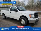 Thumbnail Photo 5 for New 2013 Ford F150