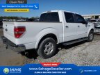 Thumbnail Photo 4 for New 2013 Ford F150