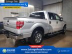 Thumbnail Photo 4 for 2013 Ford F150