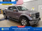 Thumbnail Photo 5 for 2013 Ford F150