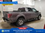 Thumbnail Photo 4 for 2013 Ford F150