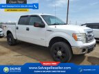 Thumbnail Photo 5 for 2013 Ford F150