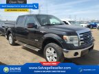 Thumbnail Photo 5 for 2013 Ford F150