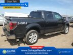 Thumbnail Photo 4 for 2013 Ford F150