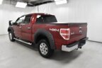 Thumbnail Photo 6 for 2013 Ford F150