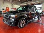 Thumbnail Photo 1 for 2013 Ford F150