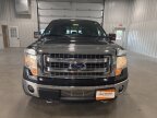 Thumbnail Photo 3 for 2013 Ford F150