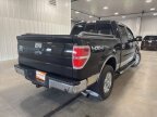 Thumbnail Photo 5 for 2013 Ford F150