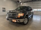 Thumbnail Photo 2 for 2013 Ford F150