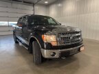 Thumbnail Photo 4 for 2013 Ford F150