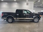 Thumbnail Photo 1 for 2013 Ford F150