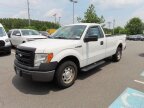 Thumbnail Photo 2 for 2013 Ford F150