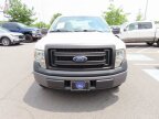 Thumbnail Photo 1 for 2013 Ford F150