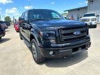 Thumbnail Photo 2 for 2013 Ford F150