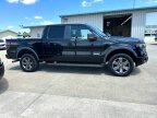 Thumbnail Photo 3 for 2013 Ford F150
