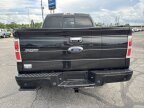 Thumbnail Photo 5 for 2013 Ford F150