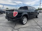 Thumbnail Photo 1 for 2013 Ford F150